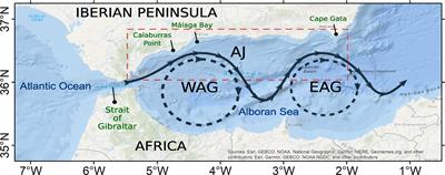 Potential SST drivers for Chlorophyll-a variability in the Alboran Sea: A source for seasonal predictability?